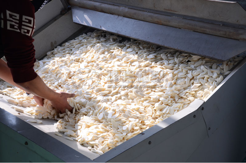 網帶式烘干機熱風干燥懷山藥